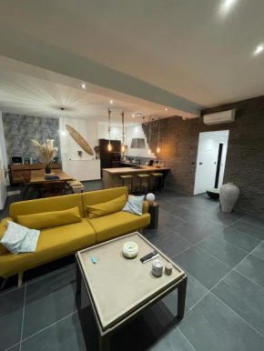Appart 110m2 terrasse climatisé quartier médiéval